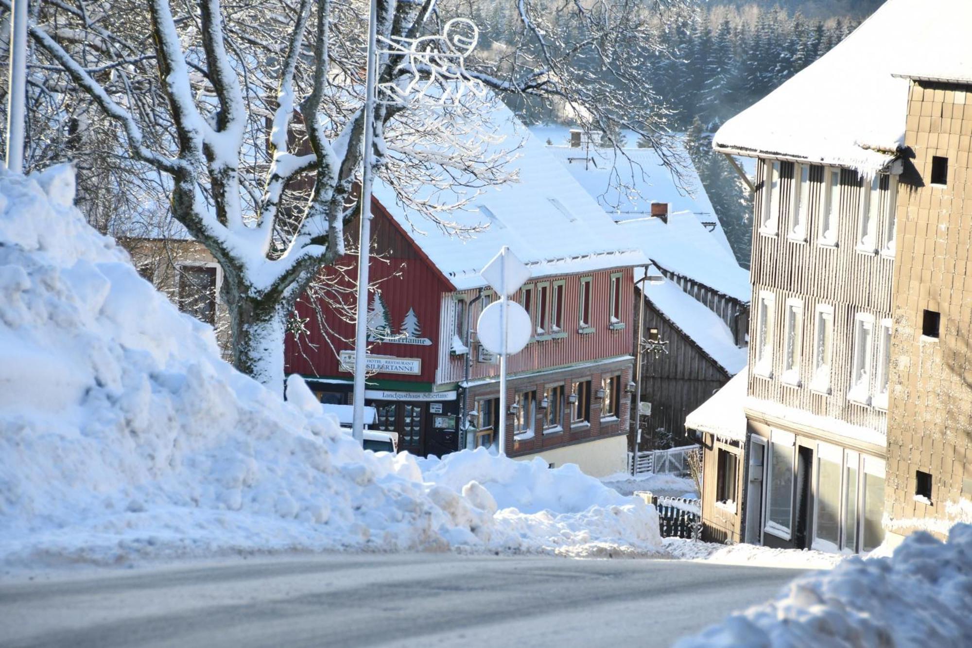 Wohnung In Hohegeiss Mit Grill Und Garten Braunlage Exterior foto