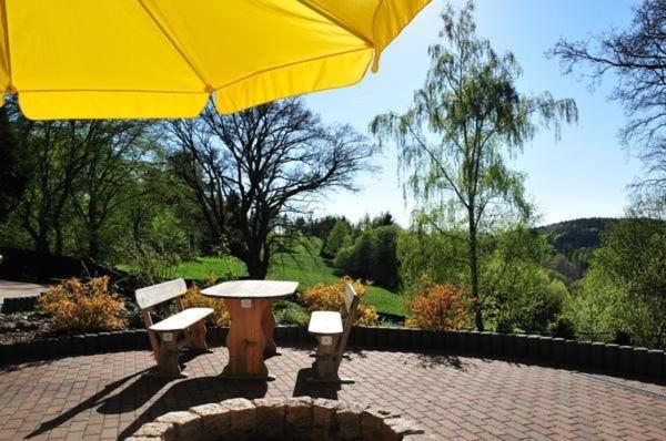 Wohnung In Hohegeiss Mit Grill Und Garten Braunlage Exterior foto